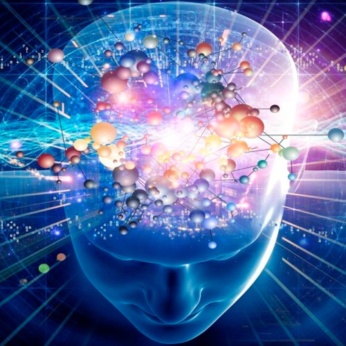 What is quantum cognition?